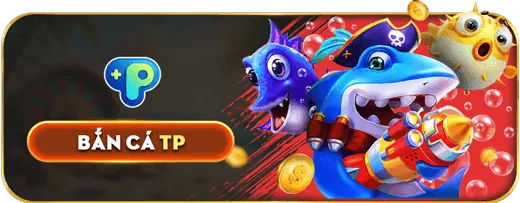 Dịch vụ 79 king 02