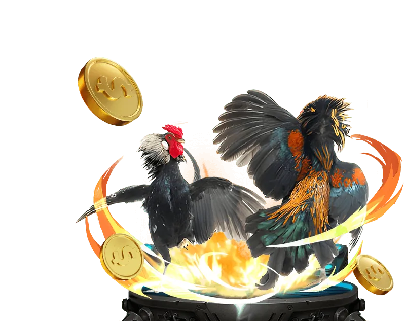 Cá cược Esports 79 king 02